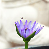 Megan Hobson's photo