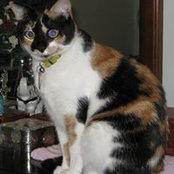 Janice Honyotski's photo