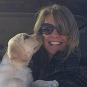 Lisa Adams's photo