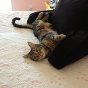 Ellen Brownstein's photo