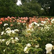Lara Godden's photo