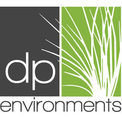 dp environments