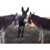 Stacey Riggs's photo