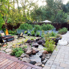 Backyard Garden