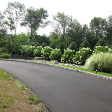 HH Landscape