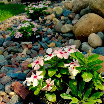 Softscape (Flowers, Flower beds and more)