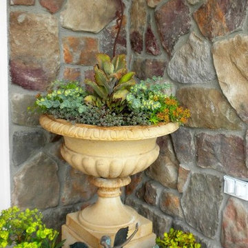 Container Plantings