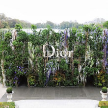 Living Wall