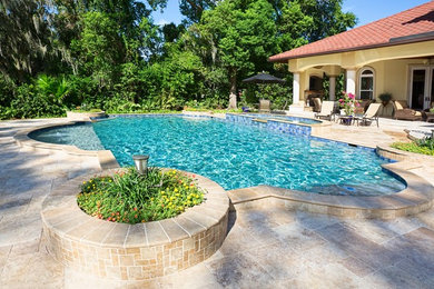 Example of a classic pool design in Tampa