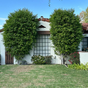 Majestic Tree Care Inc