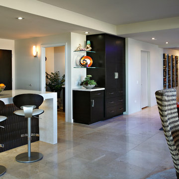 Contemporay Kitchen Remodel - Penthouse Condo