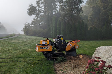 Stump Grinding