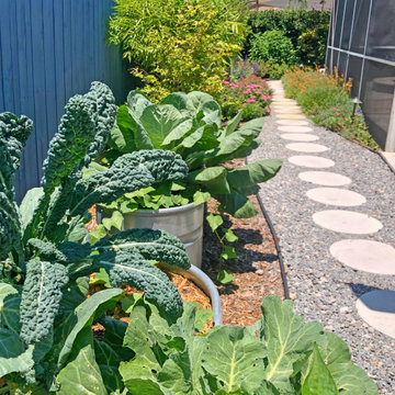 Vibrant Colorful Vegetable Beds & Mini-Food Forests