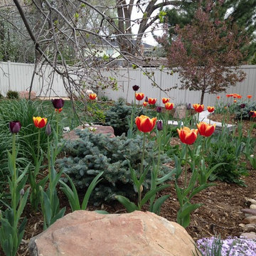 Spring Bulb Gardens