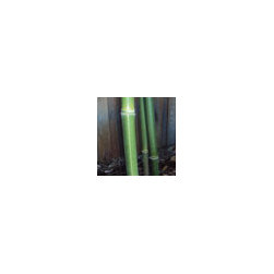 Bamboo installations - Products