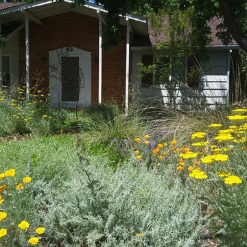 Native CA plants provide four seasons of color
