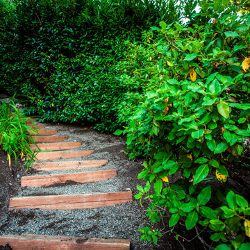 Lush Planting around Side yard Staircase