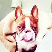 Natalie Donnelly's photo