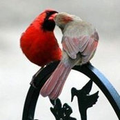 June Anzelc's photo