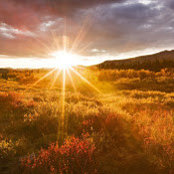 Ifrah Khan's photo
