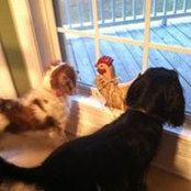 Carol Danner's photo