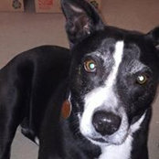 Amy Franklin's photo