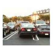 Melissa Cohen's photo