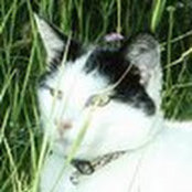 ing mari Vock's photo
