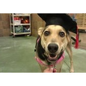 Stacey Schultz's photo