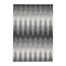 Living Room Rug