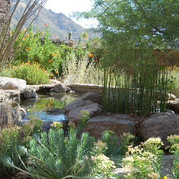 Water Conservation