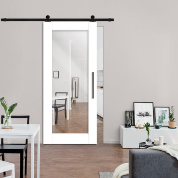 Mirrored Sliding Barn Door with Mirror Insert + Carbon Steel Hardware Kit, 40"x84" Inches, 2 Mirrors/Front & Back, Painted (Finish)