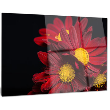 "Red Velvet Chrysanthemum Flowers" Metal Wall Art, 40"x30"