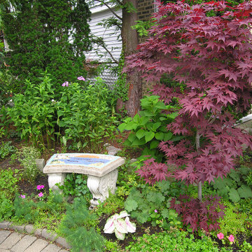 vertical garden | Artistry Landscaping Design