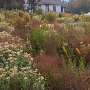 Chatfield Farms Visitors Center Native Plant Gardens