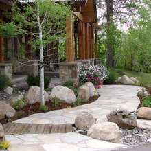 Colorado Landscape