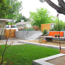 Yard - Privacy trees