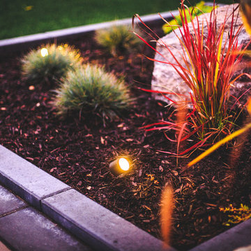 Landscape Lighting