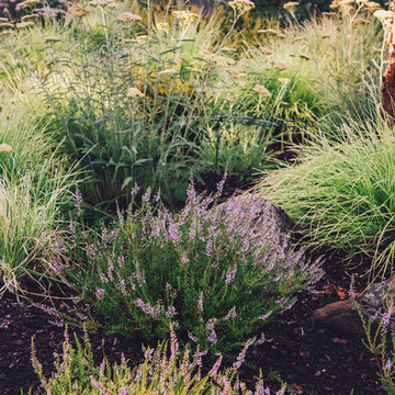 Yarrow + Scotch Heather