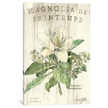 "Magnolia de Printemps " by Sue Schlabach, Canvas Print, 26x18"