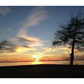Lu Terrebonne's photo