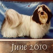 Sheila Ray's photo