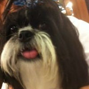 Joan Moore's photo
