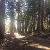 Jen Rouse's photo
