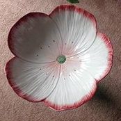 Lisa Miniat's photo