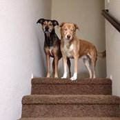 Shelly Youngwirth's photo