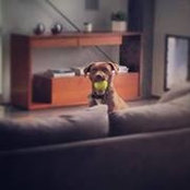 April Shunn Williams's photo
