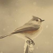 Hamoud Abdullh's photo