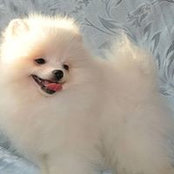 Елена Матвеева's photo