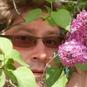 Brent Mulls billede